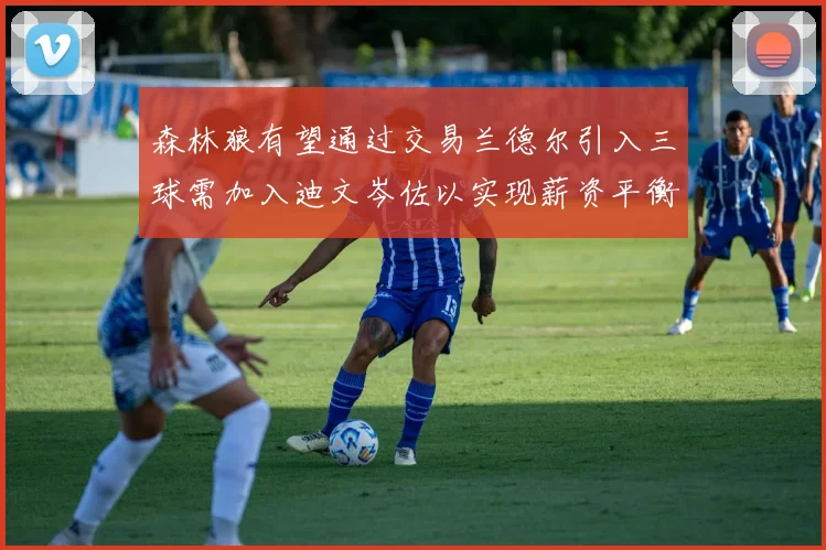 森林狼有望通过交易兰德尔引入三球需加入迪文岑佐以实现薪资平衡